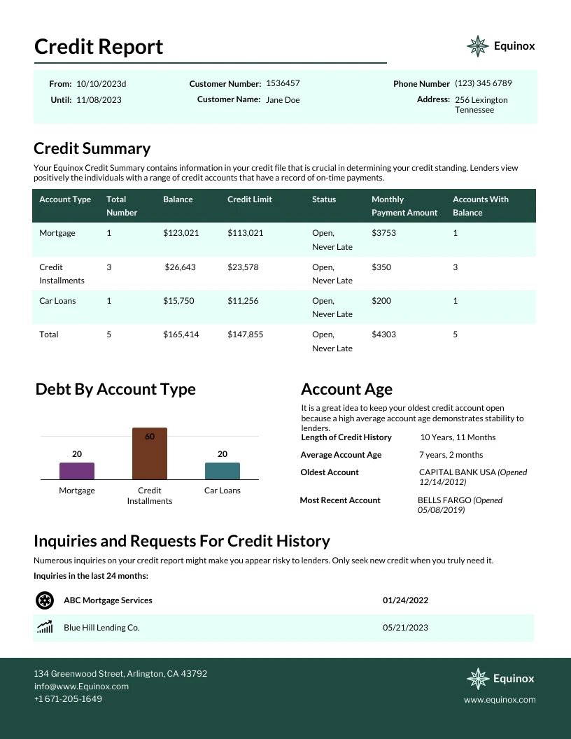 Credit Report Template Venngage