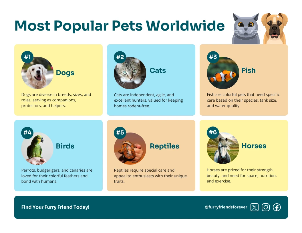 Most Popular Pets Worldwide Infographic - Venngage