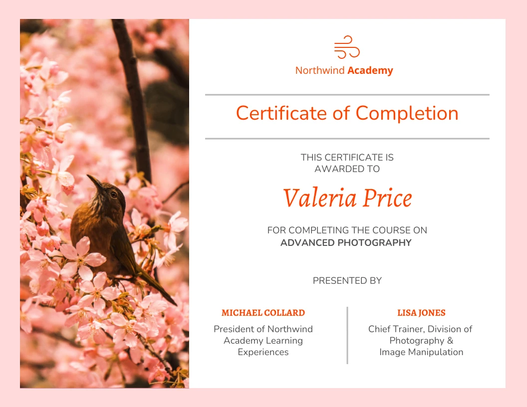 Photography Course Certificate Template Venngage