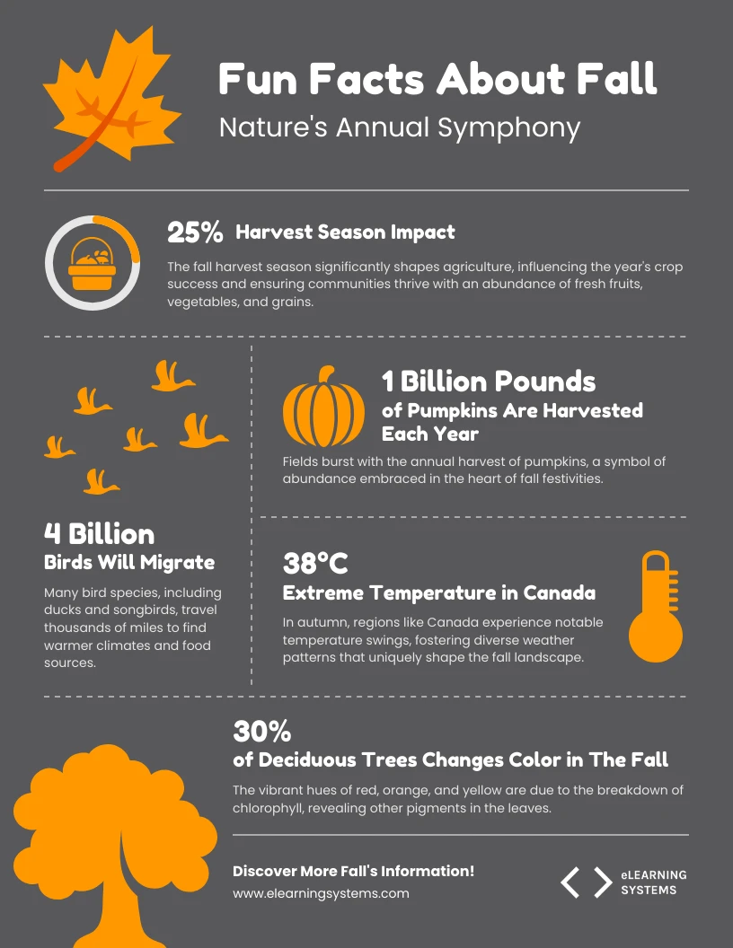 Fun Facts About Fall Season Infographic Template - Venngage