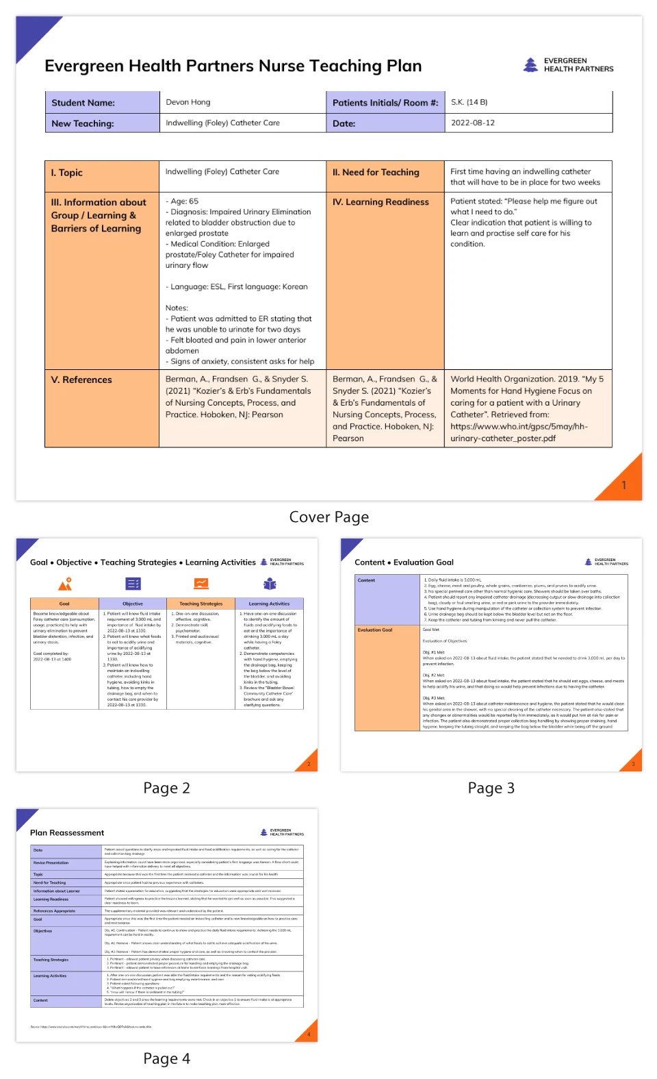 Nursing Teaching Plan Template Venngage