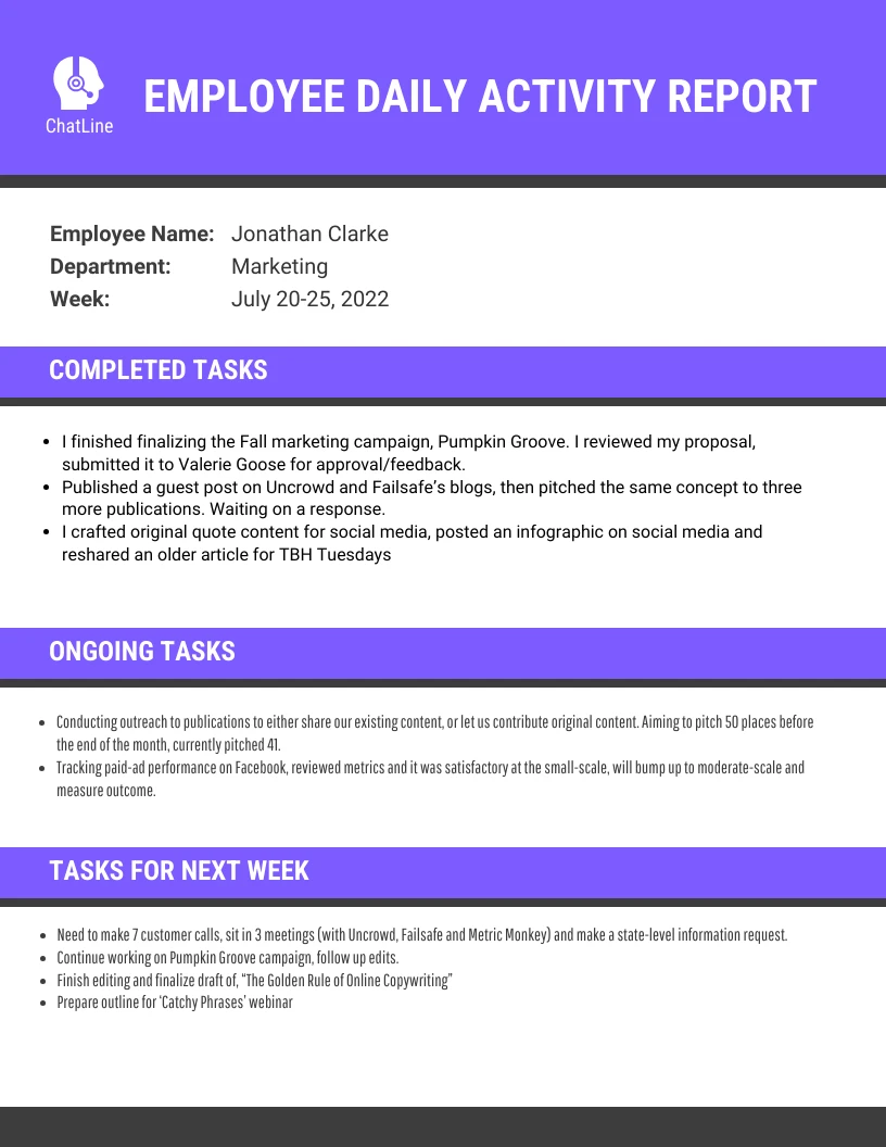 Sample employee daily activity report template venngage