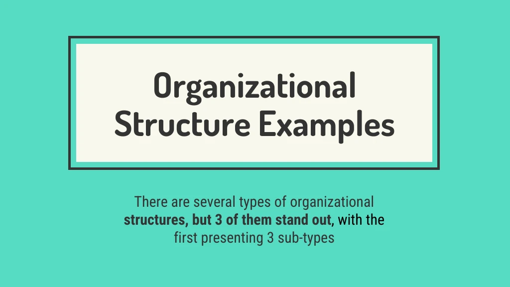 Organizational Structure Presentation - Venngage