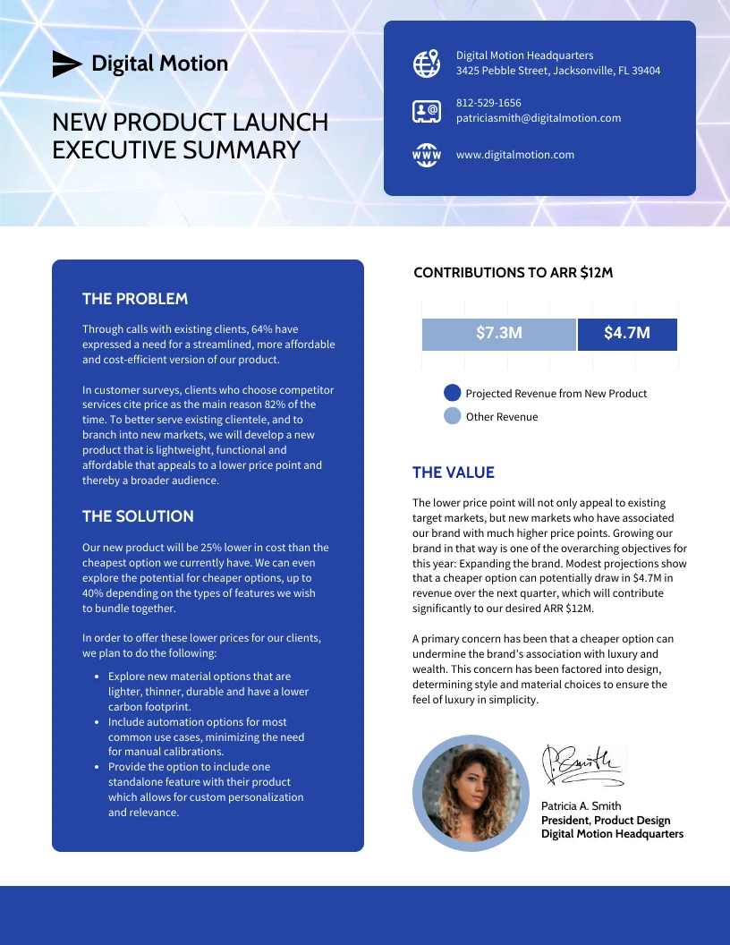 Financial Report Executive Summary Example Template Venngage