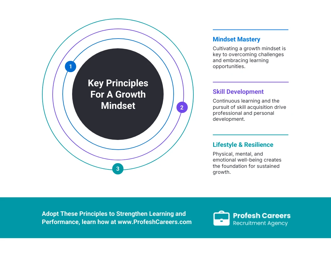 Princípios Essenciais de Desenvolvimento - Infográfico da Orbit - Venngage