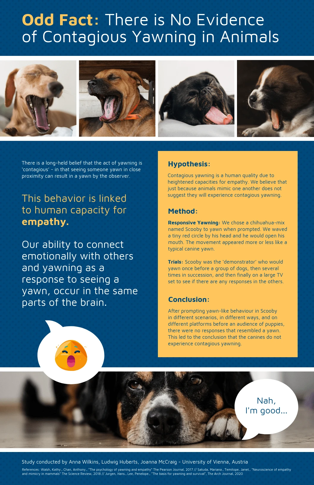 tabloid-animal-yawning-study-research-poster-venngage