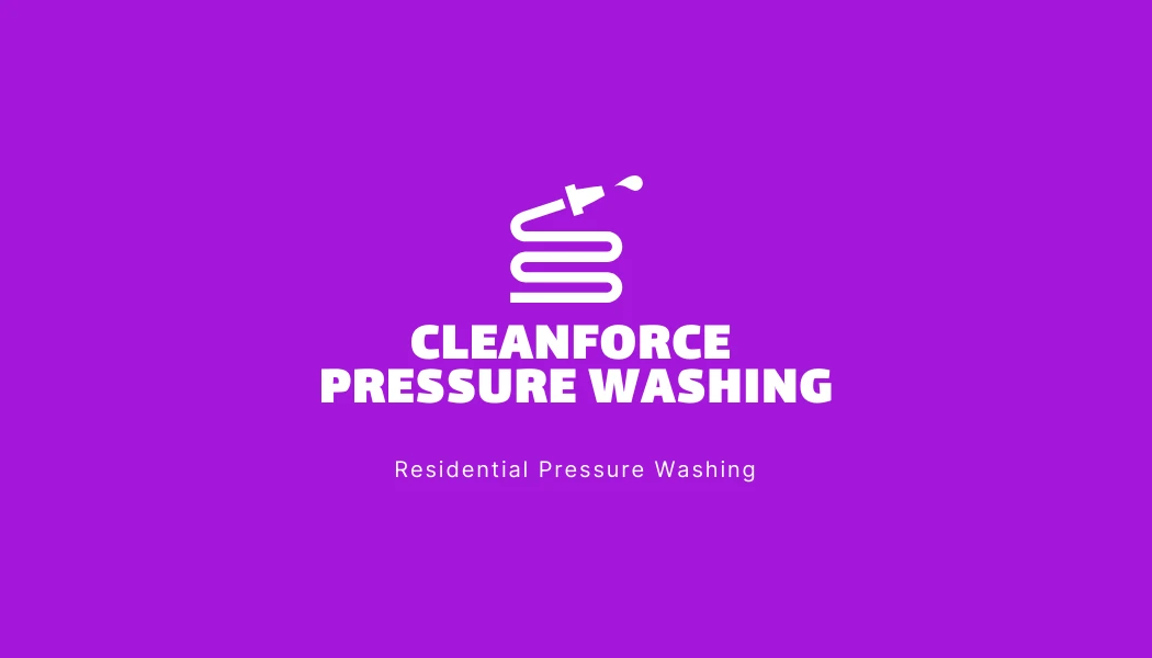 Lilac Minimalist Residential Pressure Washing Business Card Venngage