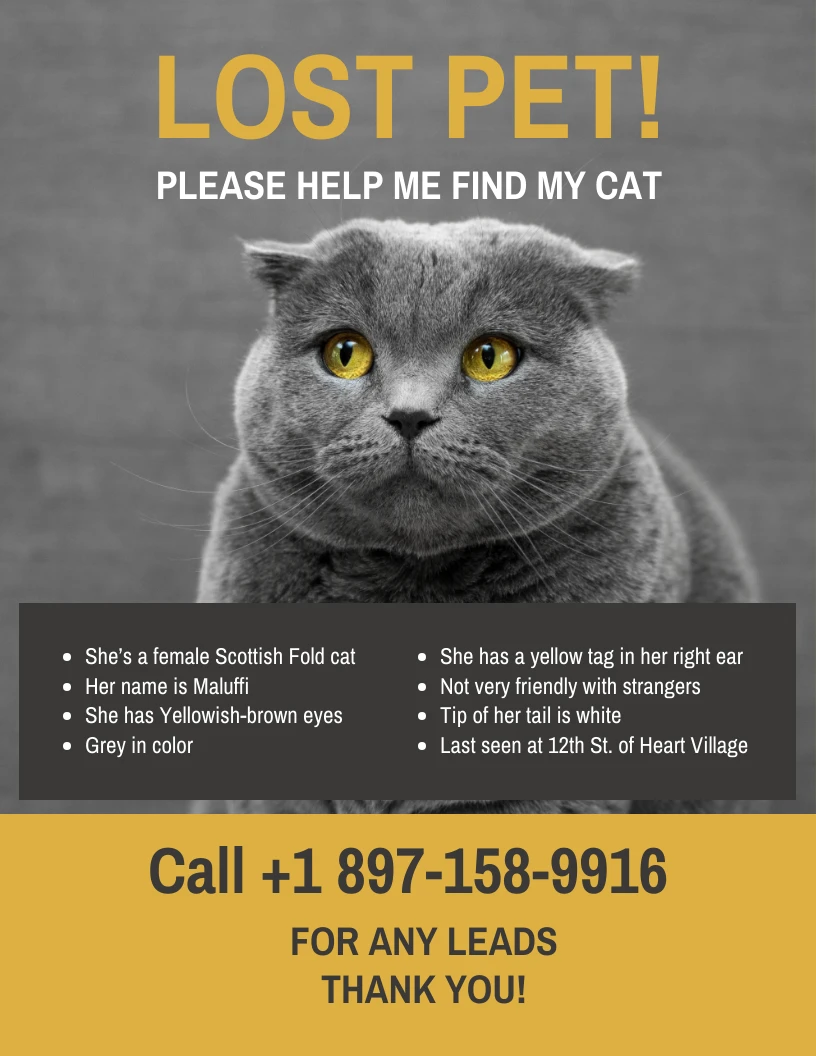 Lost Cat Poster Template