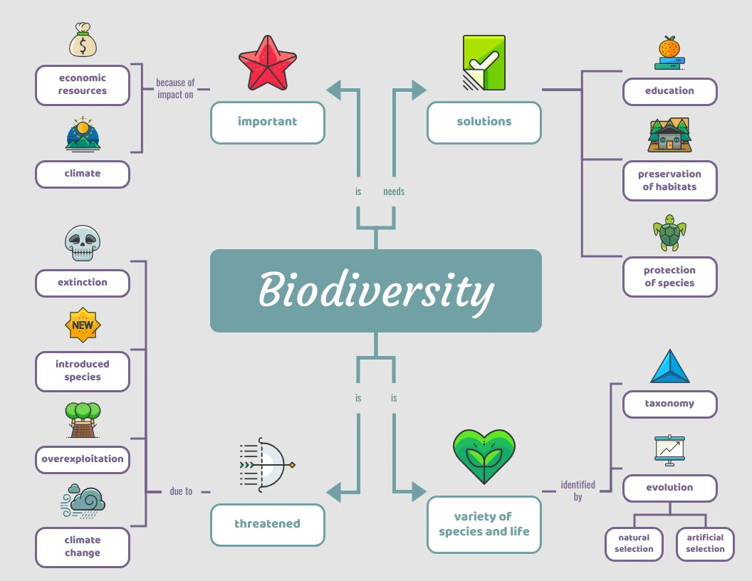 Light Biodiversity Biology Concept Map Concept Map Ma - vrogue.co
