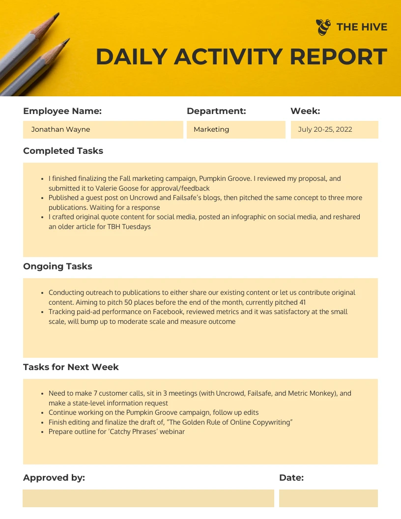 Daily Status Report Template Excel