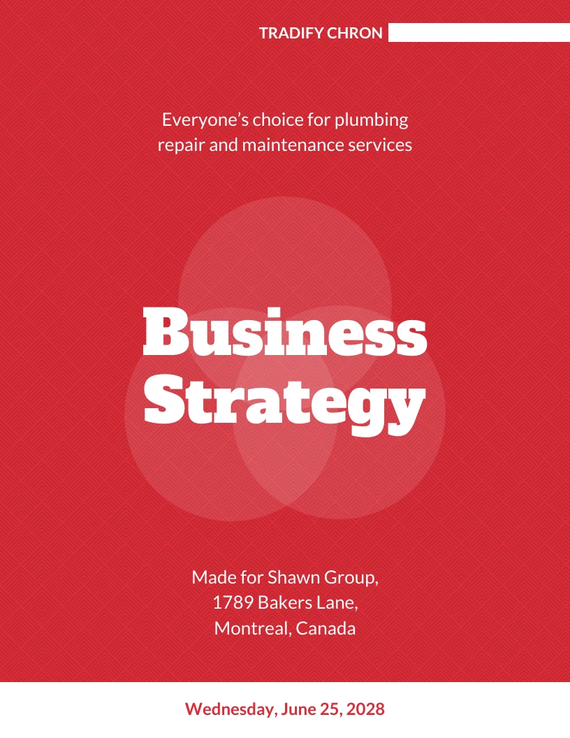 SAAS Business Plan Example Template Venngage saas-business-plan-example-template-venngage