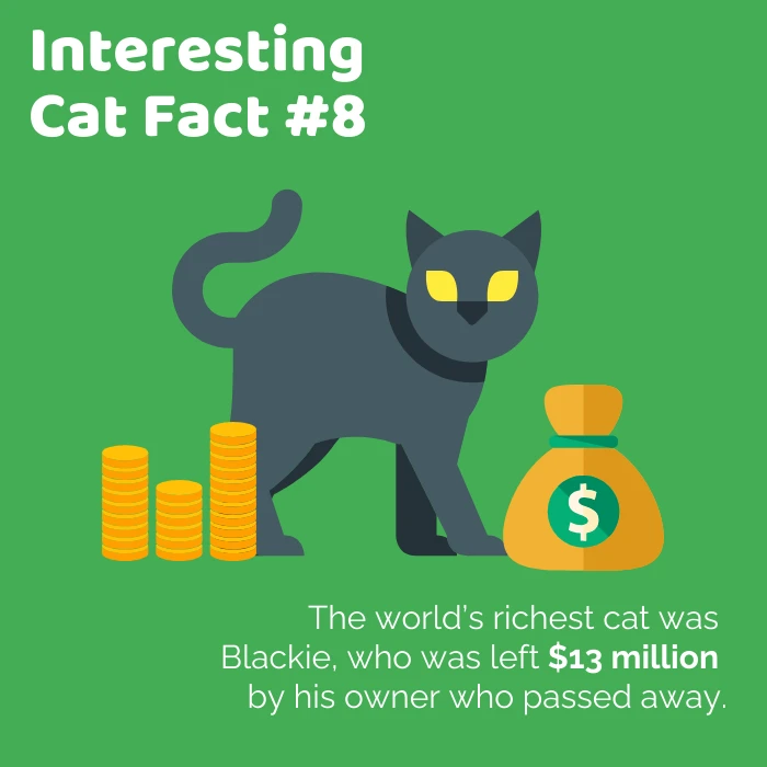 Green Interesting Cat Fact Instagram Post - Venngage