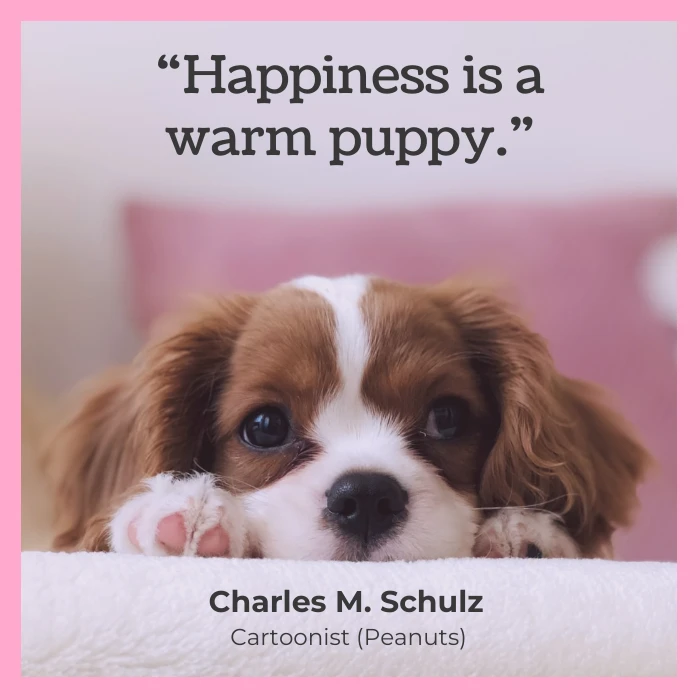 Pink Dog Quote Instagram Post - Venngage