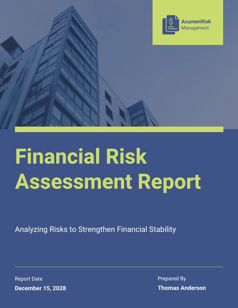 Financial Risk Assessment Report Venngage