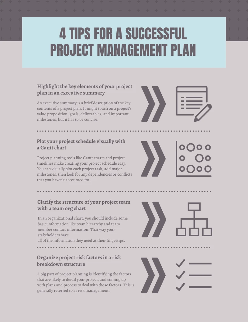 Project Management Plan Infographic Template - Venngage