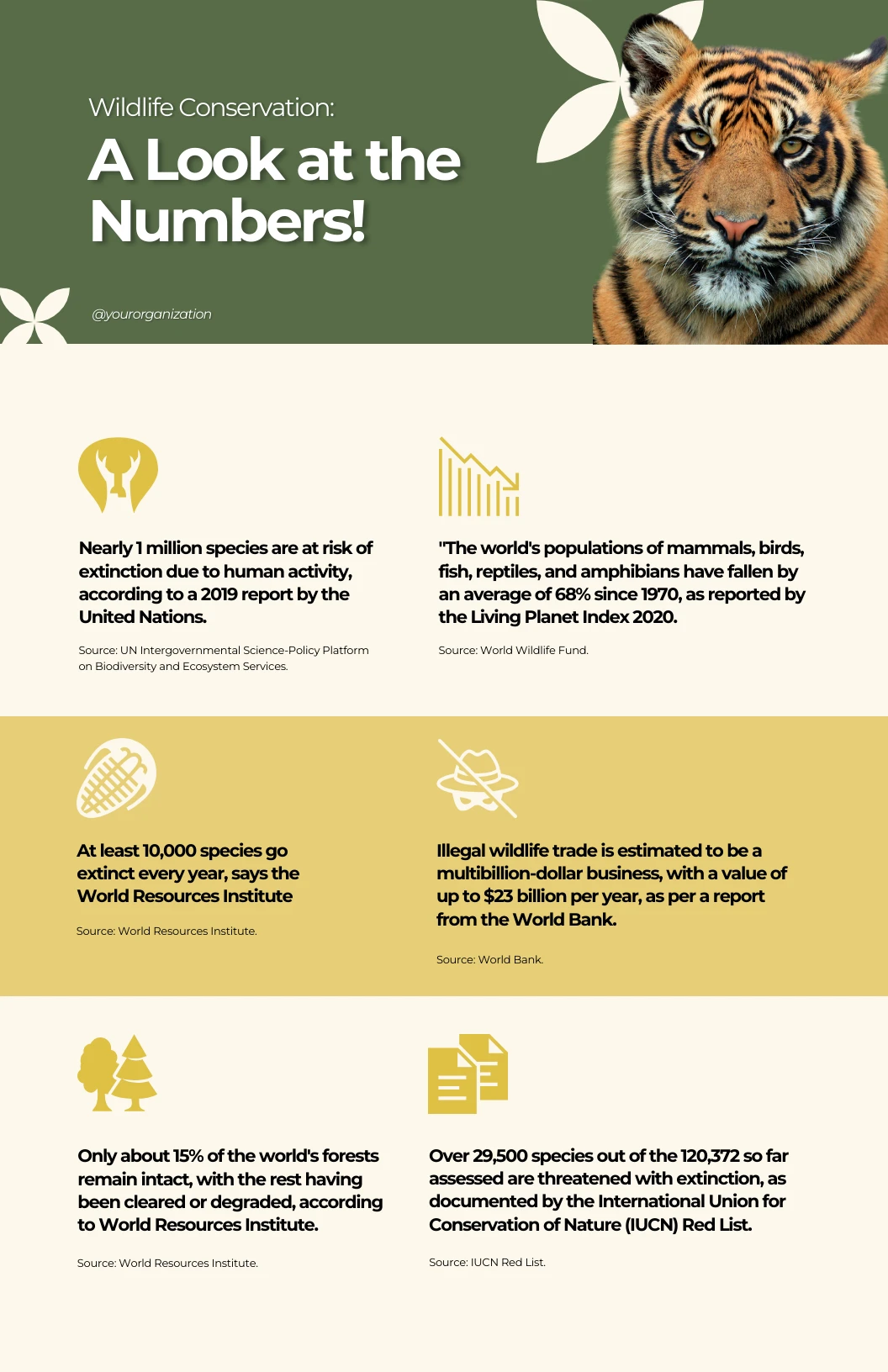 Wildlife Infographic Template - Venngage