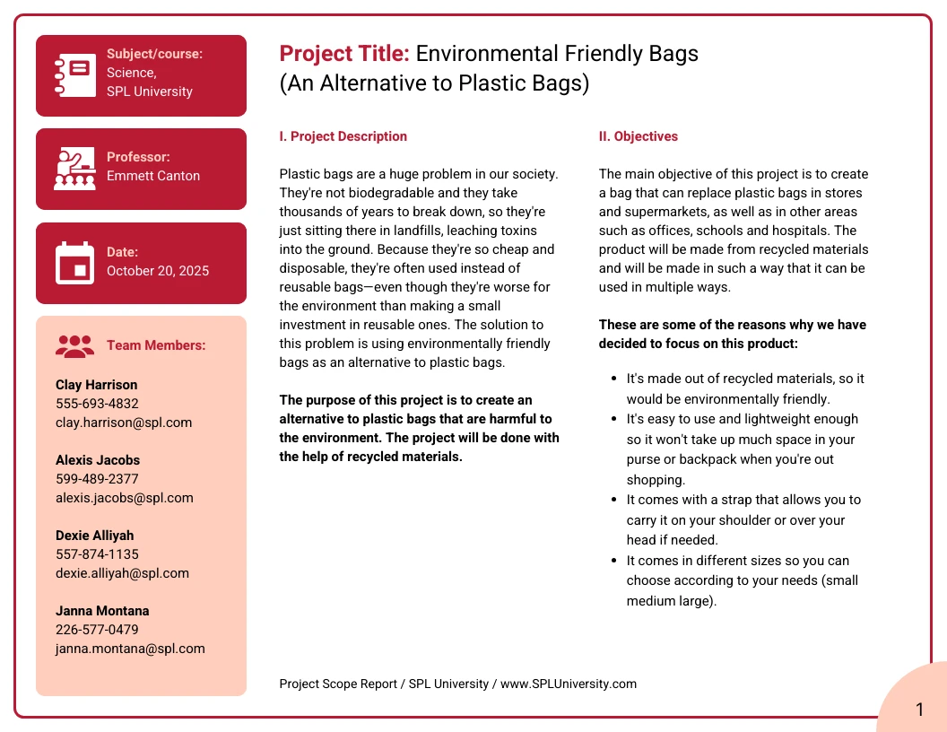 Graphic Design Project Scope Template - Venngage