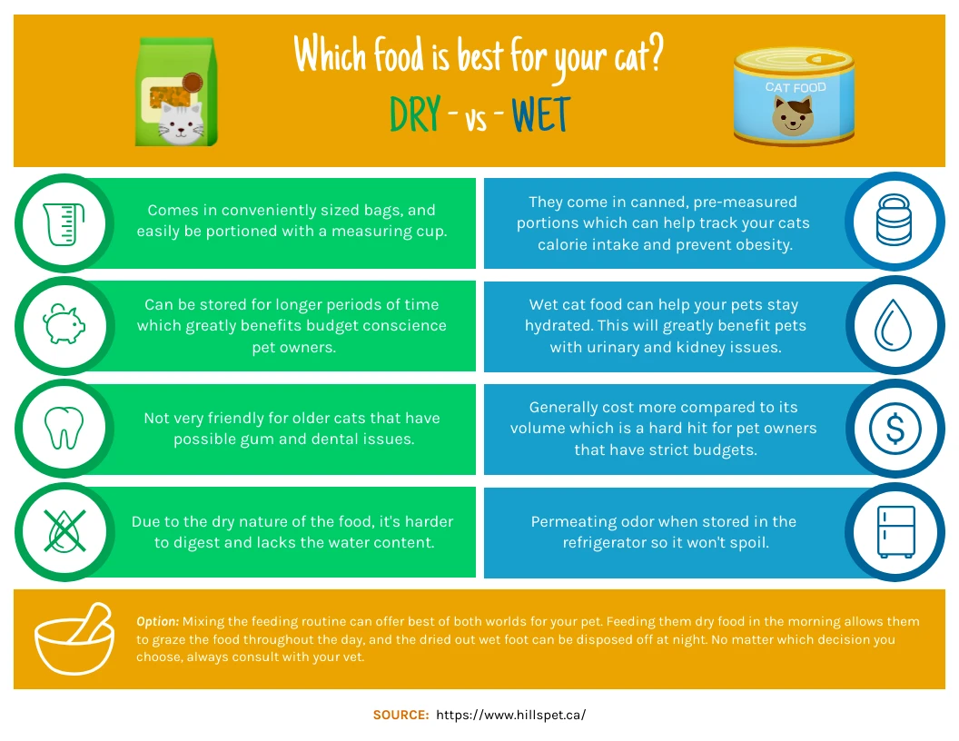 Dry vs Wet Cat Food Venngage