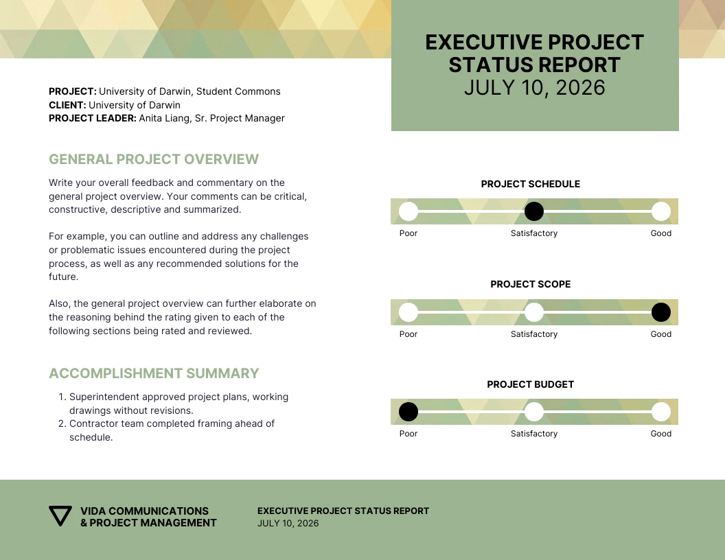 Executive Project Status Report Template Venngage