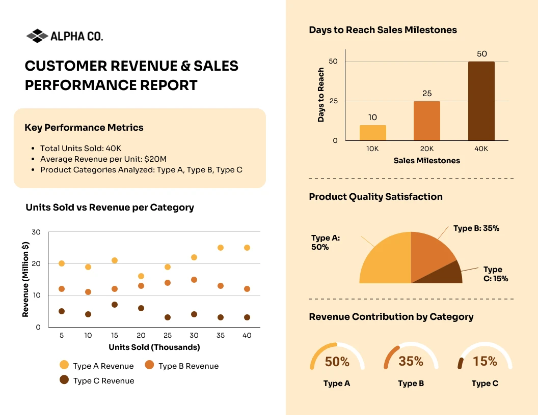 Customer Revenue & Sales Performance Report Template - Venngage