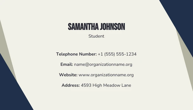 Beige And Navy Modern Geometric Student Business Card - Page 2