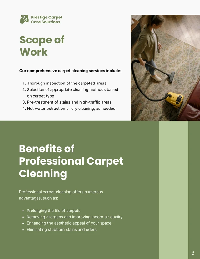 Carpet Cleaning Proposals - Page 3