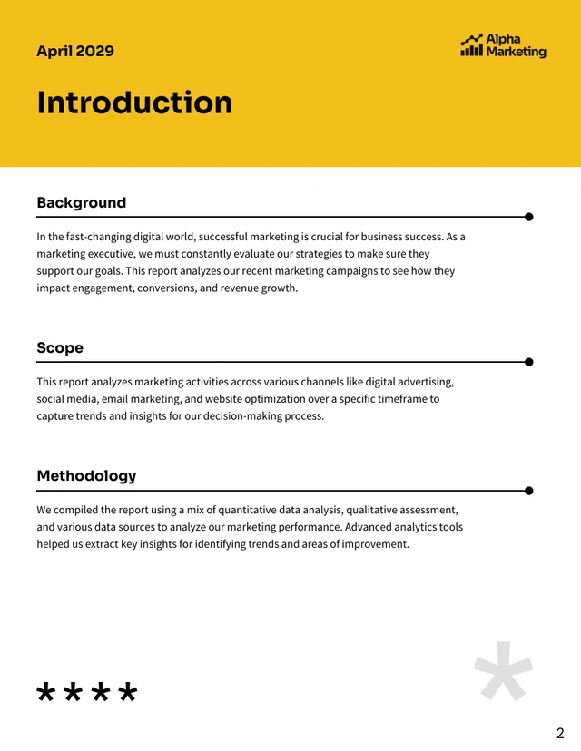 Marketing Analytic Report Template - Pagina 2