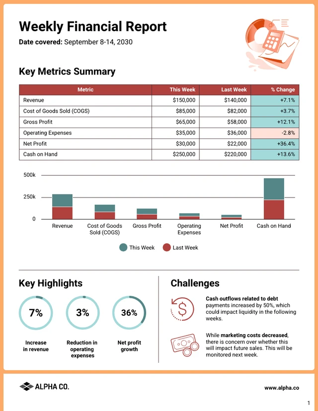 Weekly Financial Report Template - صفحة 1