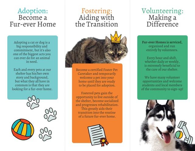 Nonprofit Pet Shelter Tri Fold Brochure - Venngage