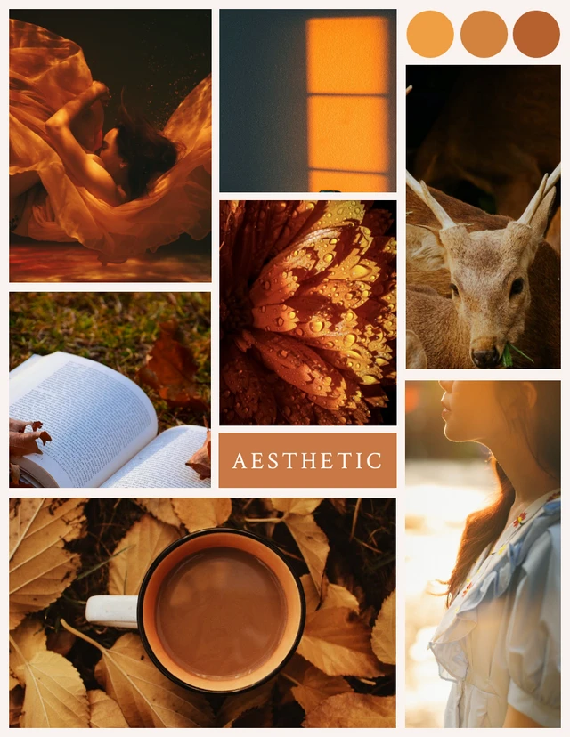 Orange Modern Aesthetic Photo Collages Template