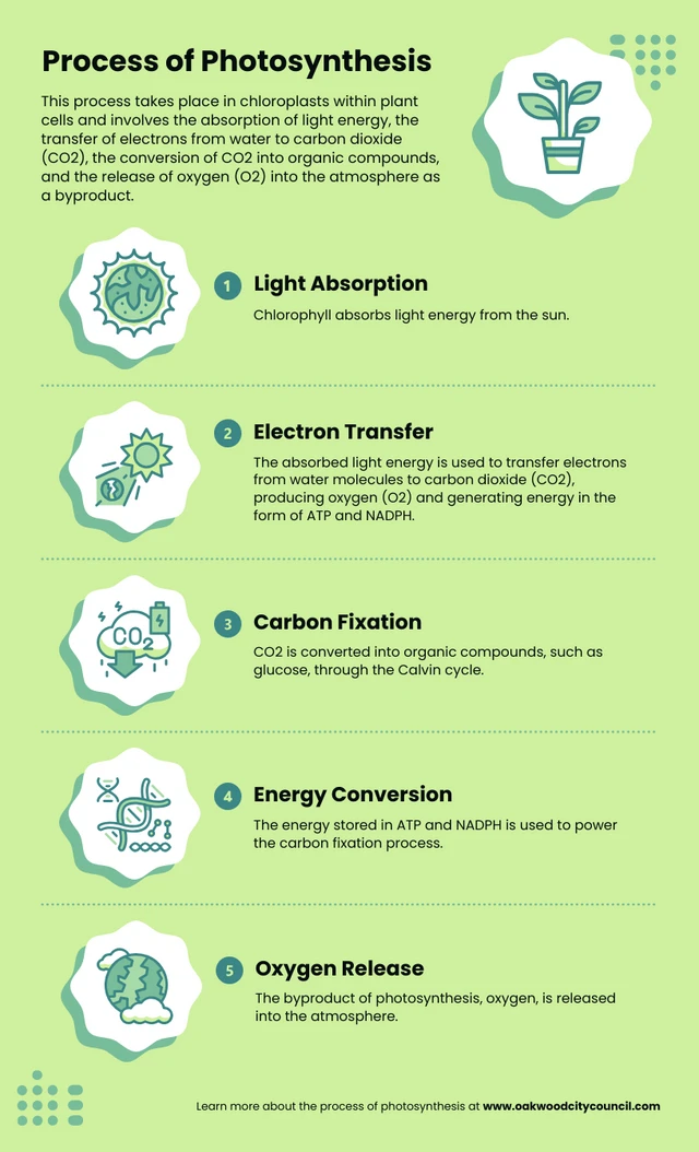 Green Photosynthesis Biology Infographic