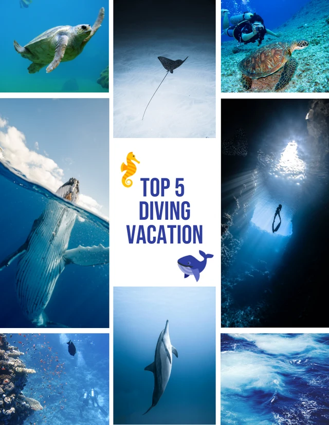 White Modern Diving Vacation Cool Photo Collages Template