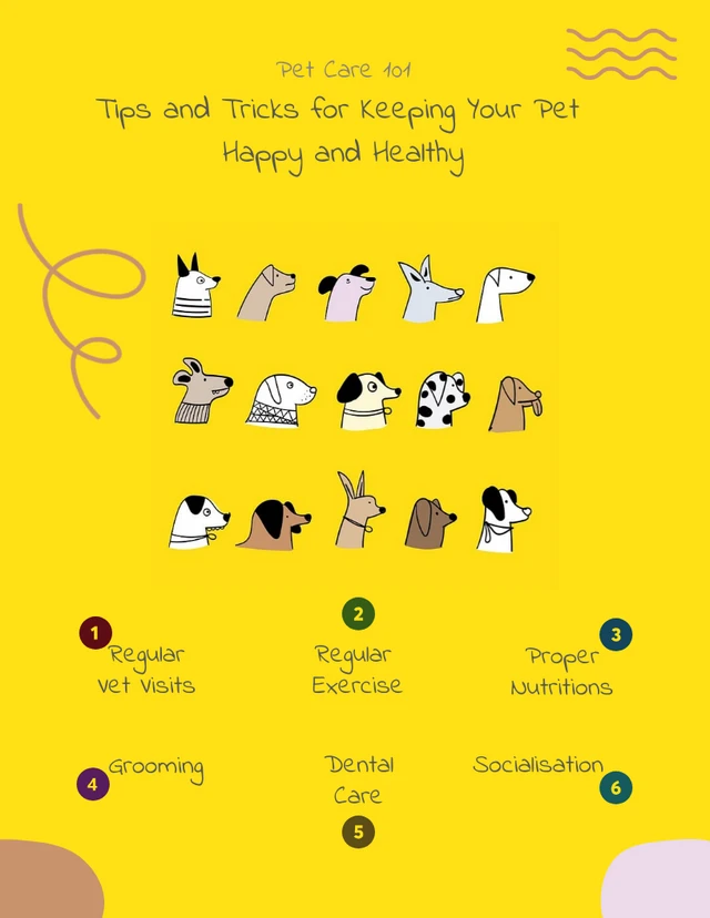 Infográfico de desenho animado amarelo em modelo de pôster para cuidados com animais de estimação