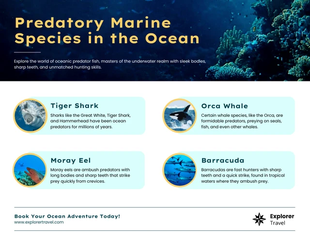 Modelo infográfico de predadores marinhos no oceano