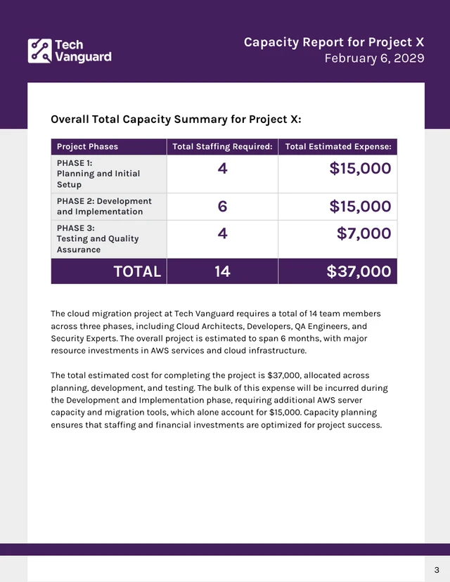 Capacity Report Template - Seite 3