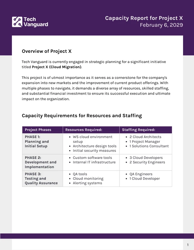 Capacity Report Template - صفحة 1