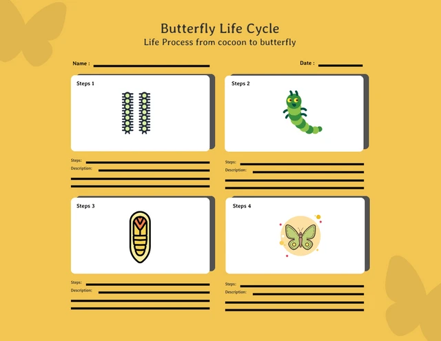 Modèle de storyboard du cycle de vie du papillon jaune