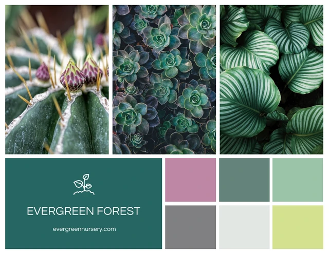 Plant Mood Board