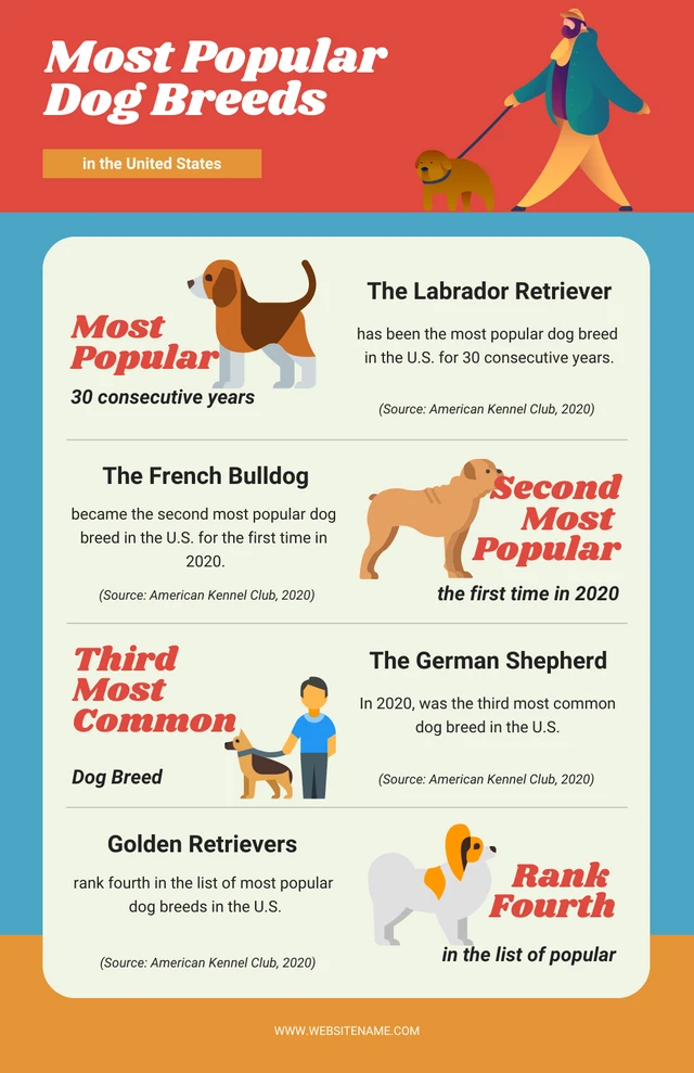 Retro Clean Red Blue Orange Dogs Infographic Template