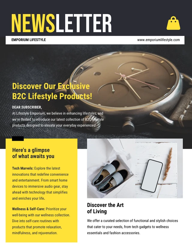 B2C Lifestyle Product Newsletter Template