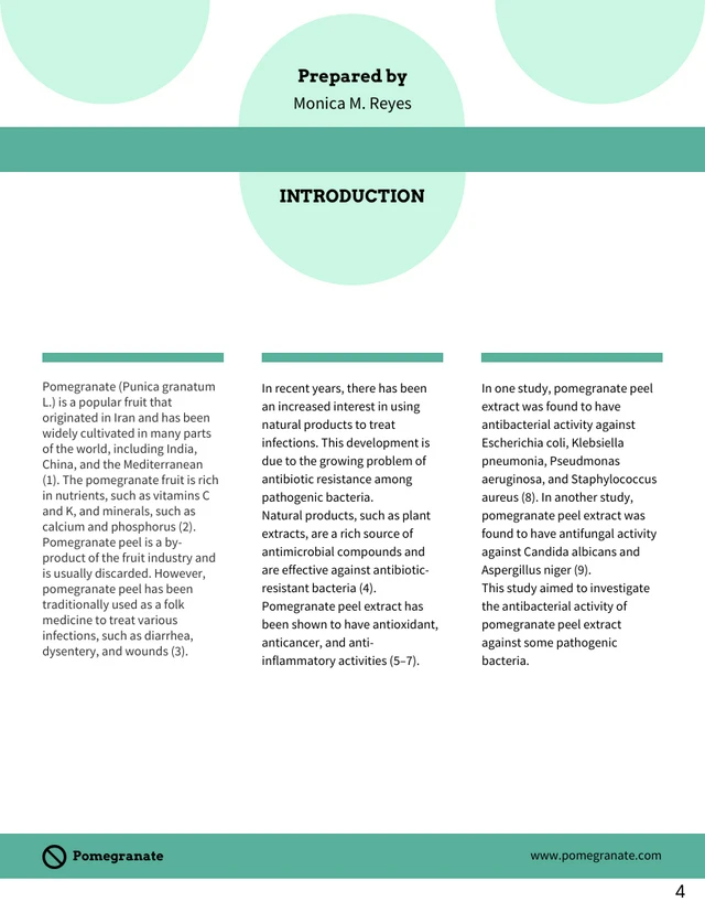 Pale Green Research Proposal Template - Page 4