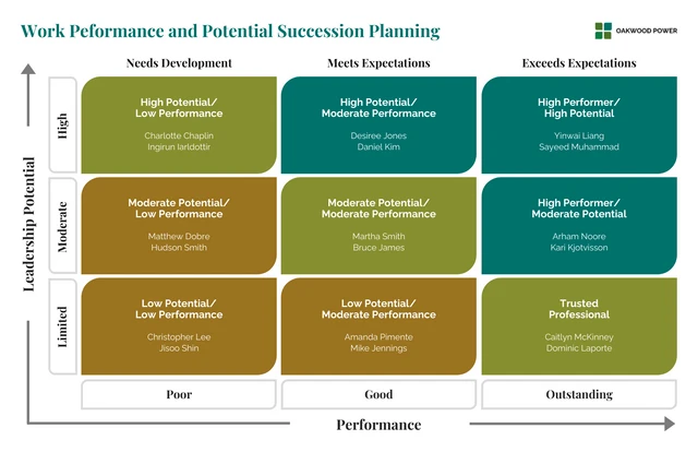 Modelo de planejamento de desempenho no trabalho e sucessão potencial