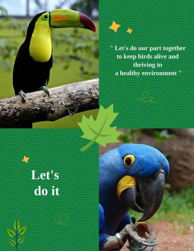 Parrot rescue campaign green poster Template