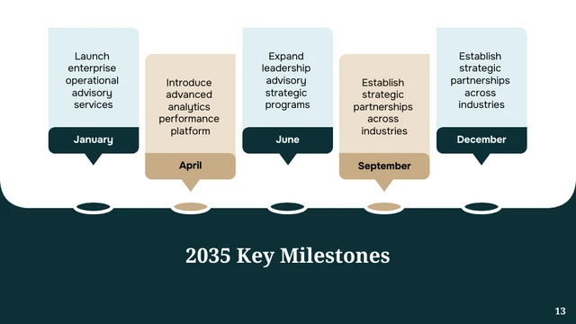 Professional Company Presentation Template - page 13