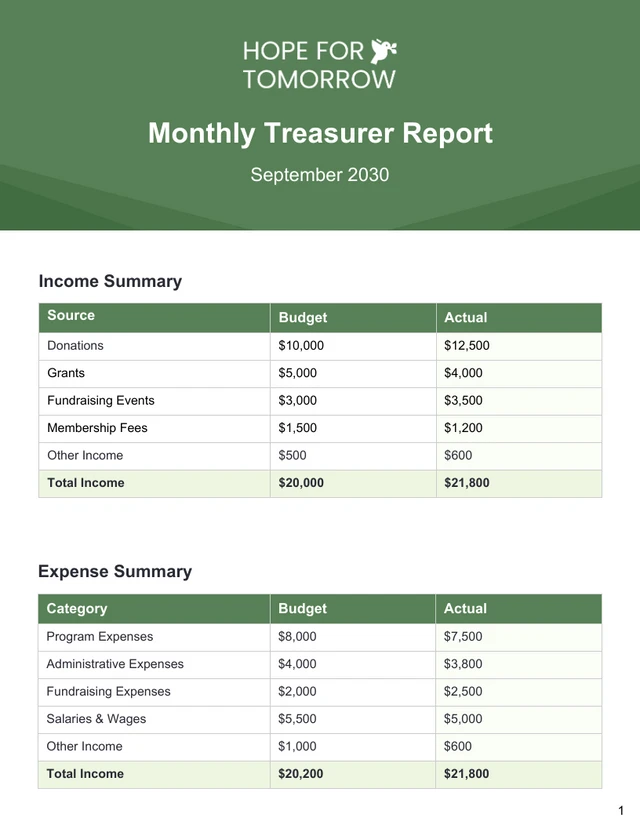 Monthly Non Profit Treasurer Report Template - Page 1