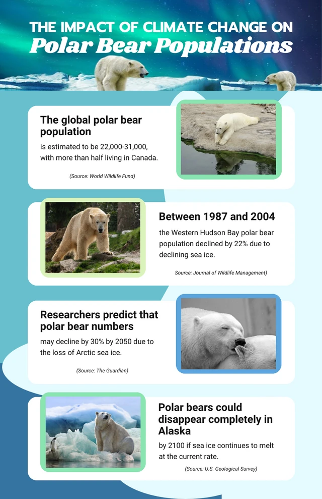 Emerald Blue Green Polar Bear Animal Infographic Template