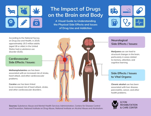 Die Auswirkungen von Drogen auf das Gehirn und den Körper: Ein visueller Leitfaden zum Verständnis von Drogenkonsum und -abhängigkeit