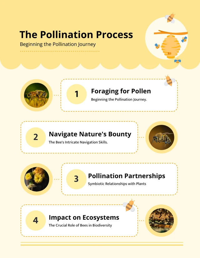 Pastel Yellow Pollination Process Bee Infographic Template