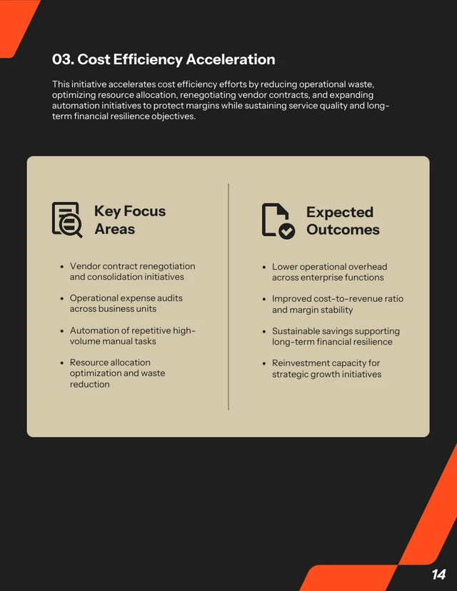 Executive Management Report Template - Seite 14