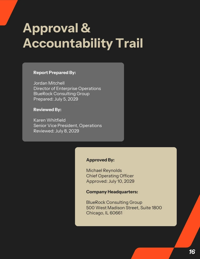 Executive Management Report Template - Seite 16